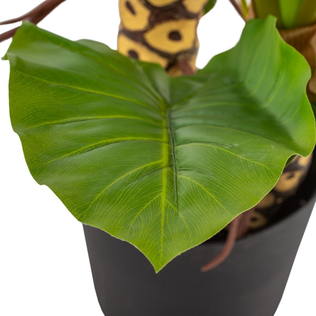 Dekorativ växt 80 x 90 x 140 cm Grön Philodendron - 5