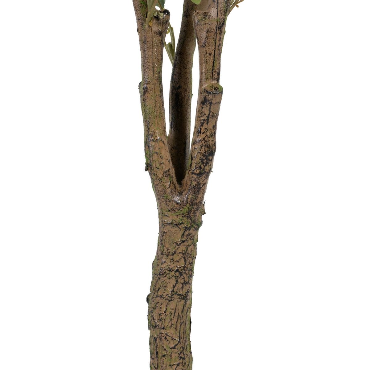 Dekorativ växt 80 x 75 x 173 cm Grön PVC Eukalyptus - 4