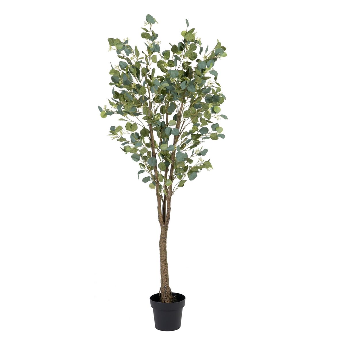 Dekorativ växt 80 x 75 x 173 cm Grön PVC Eukalyptus
