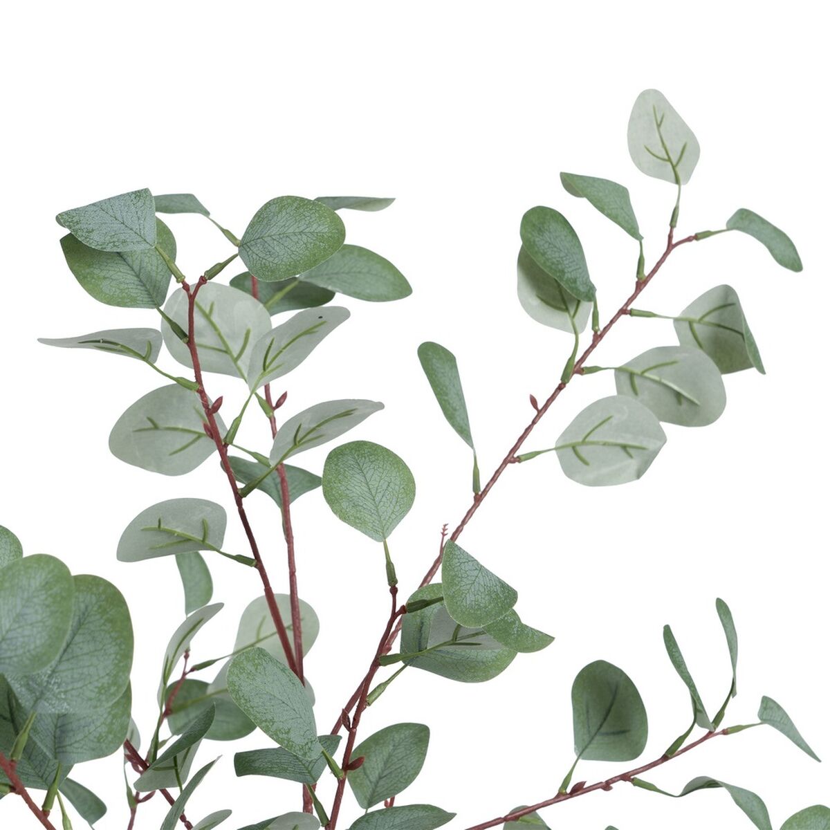 Dekorativ växt Polyetylen Eukalyptus 80 x 82 x 180 cm - 2