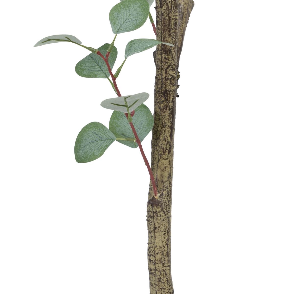 Dekorativ växt Polyetylen Eukalyptus 80 x 82 x 180 cm - 4