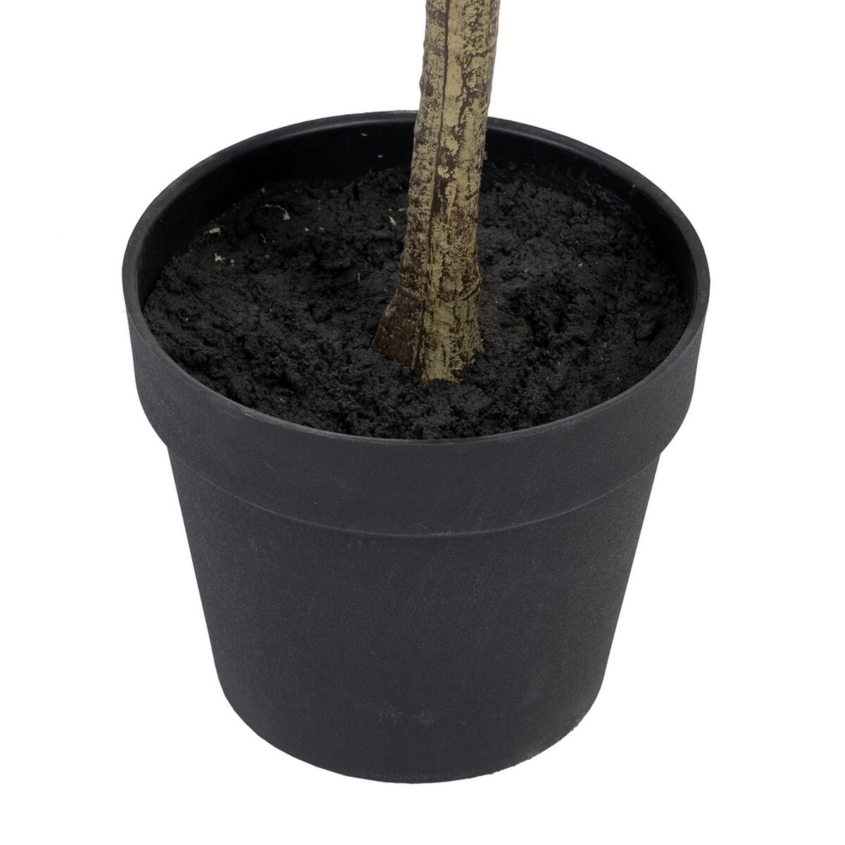 Dekorativ växt Polyetylen Eukalyptus 80 x 82 x 180 cm - 5