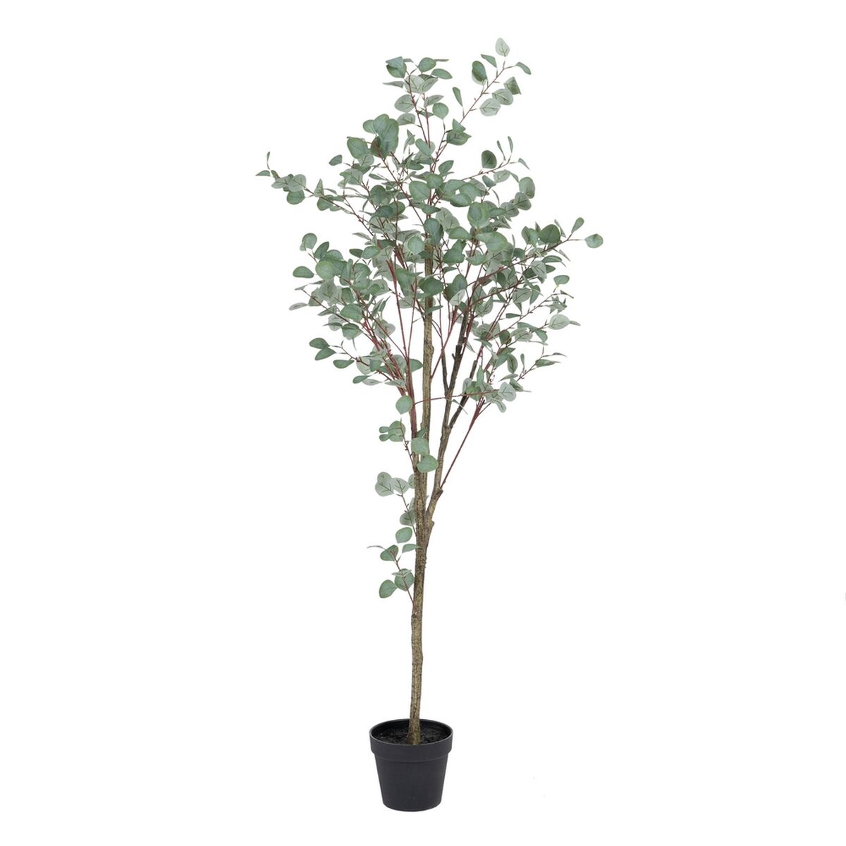 Dekorativ växt Polyetylen Eukalyptus 80 x 82 x 180 cm