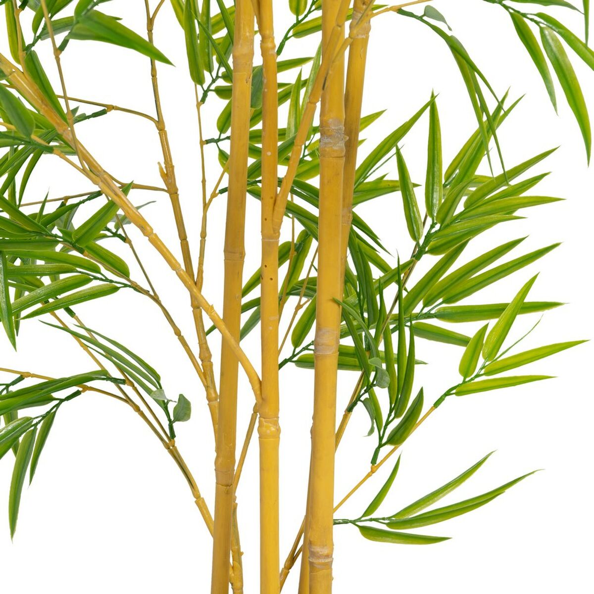 Dekorativ växt Polyetylen Bambu 90 x 86 x 220 cm - 4