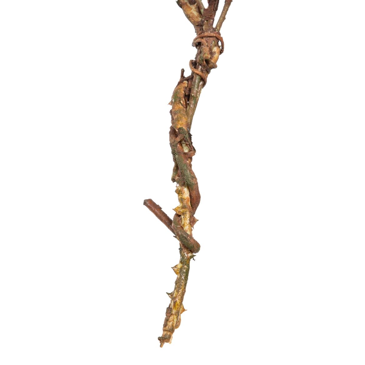 Dekorativ blomma Grön Rosa 30 x 10 x 91 cm - 6