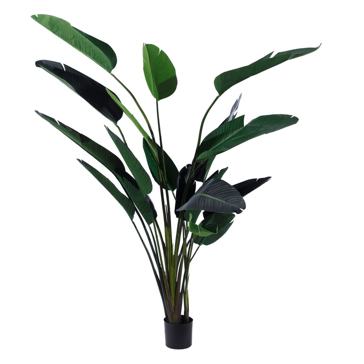 Dekorativ växt Polyetylen Järn Cement Paradisets Fågel 245 cm 120 x 120 x 245 cm