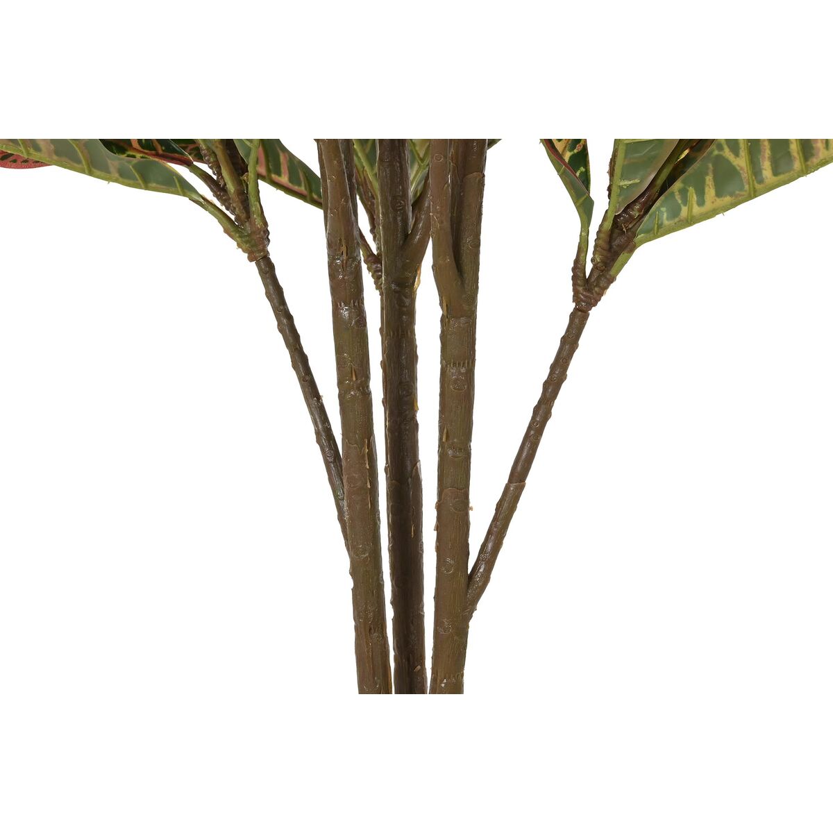 Dekorativ växt DKD Home Decor Brun Polyetylen Grön 50 x 50 x 140 cm - 3