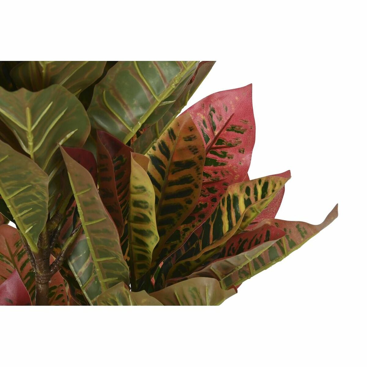 Dekorativ växt DKD Home Decor Brun Polyetylen Grön 50 x 50 x 140 cm - 8