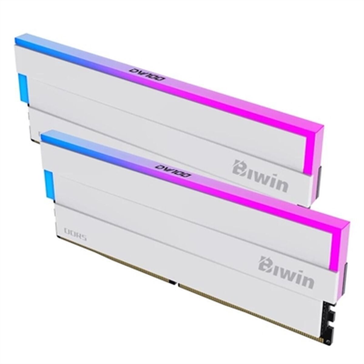 RAM-minne Biwin DW100 32 GB DDR5 6000 MHz cl30