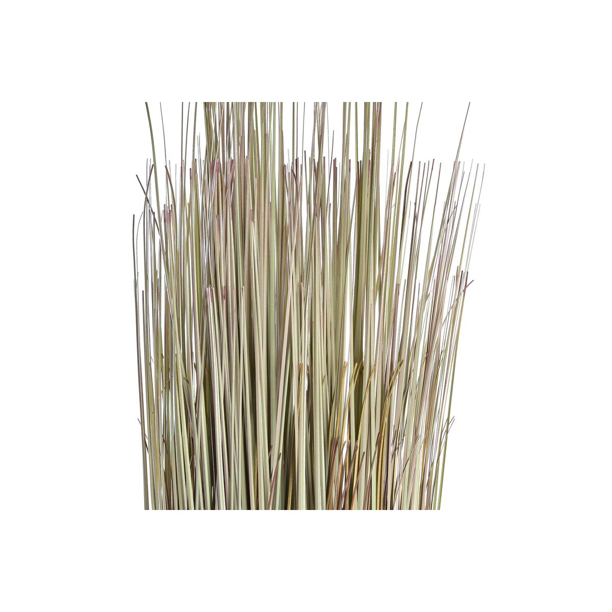 Dekorativ växt DKD Home Decor 25 x 25 x 68 cm Brun Polyetylen Grön (2 antal) - 3