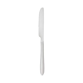 Bordskniv Secret de Gourmet Rostfritt stål 24 cm 2 Delar