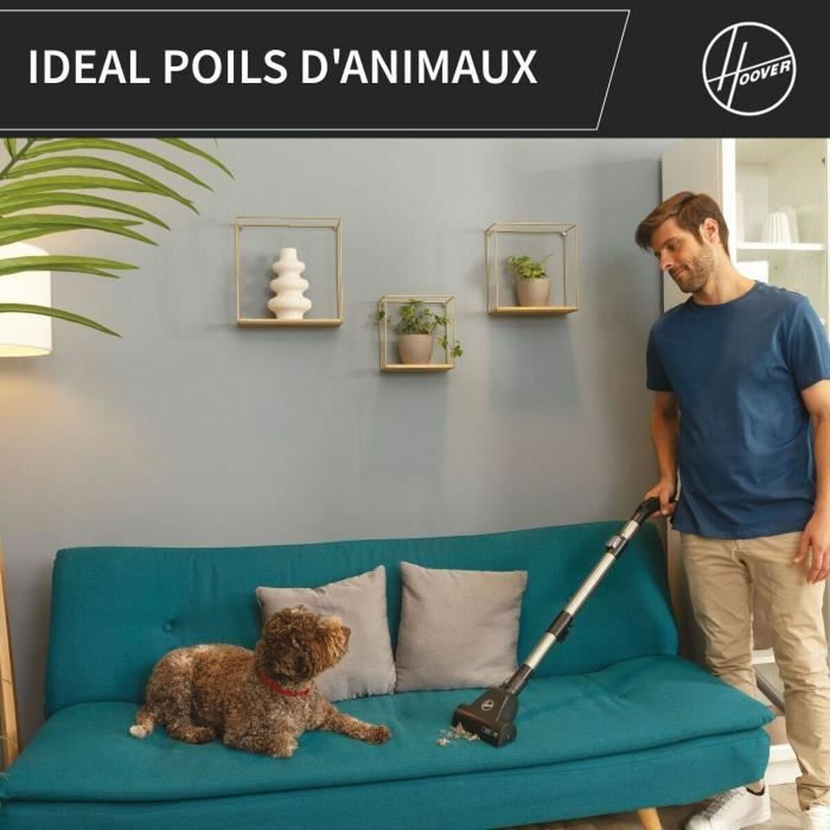 Utsug Hoover HP321PAF Grå 850 W - 4