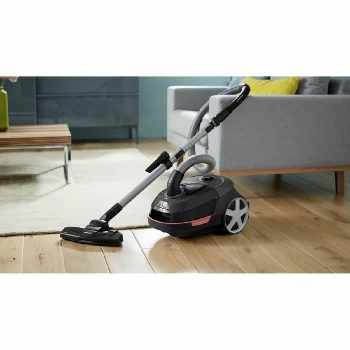 Påsfri Dammsugare Philips Svart - 3