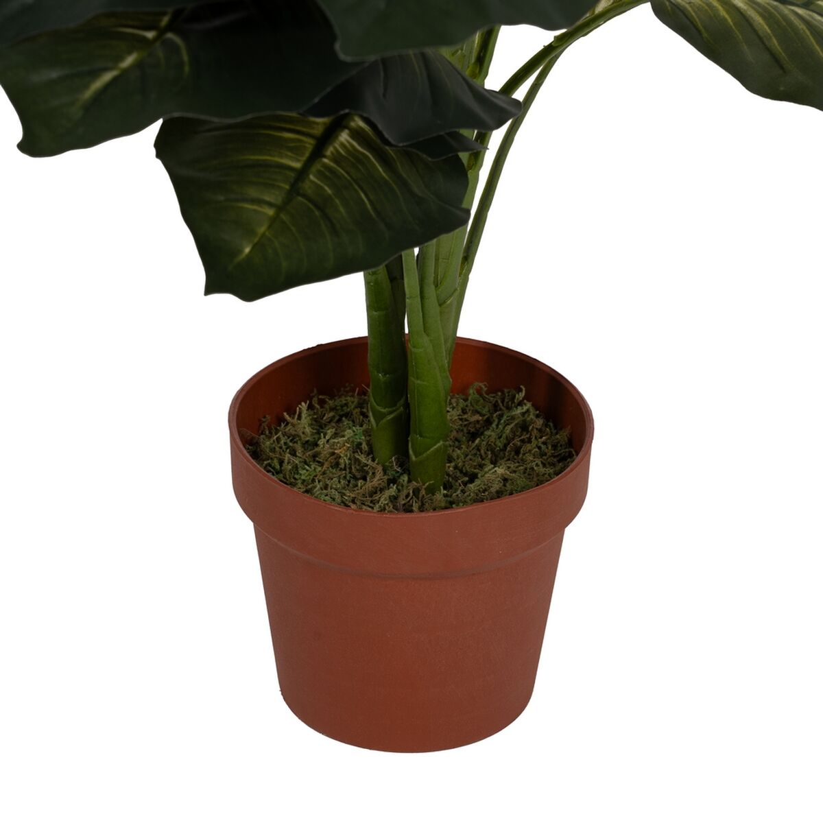 Dekorativ växt Polyetylen Järn Cement 45 x 45 x 135 cm - 4