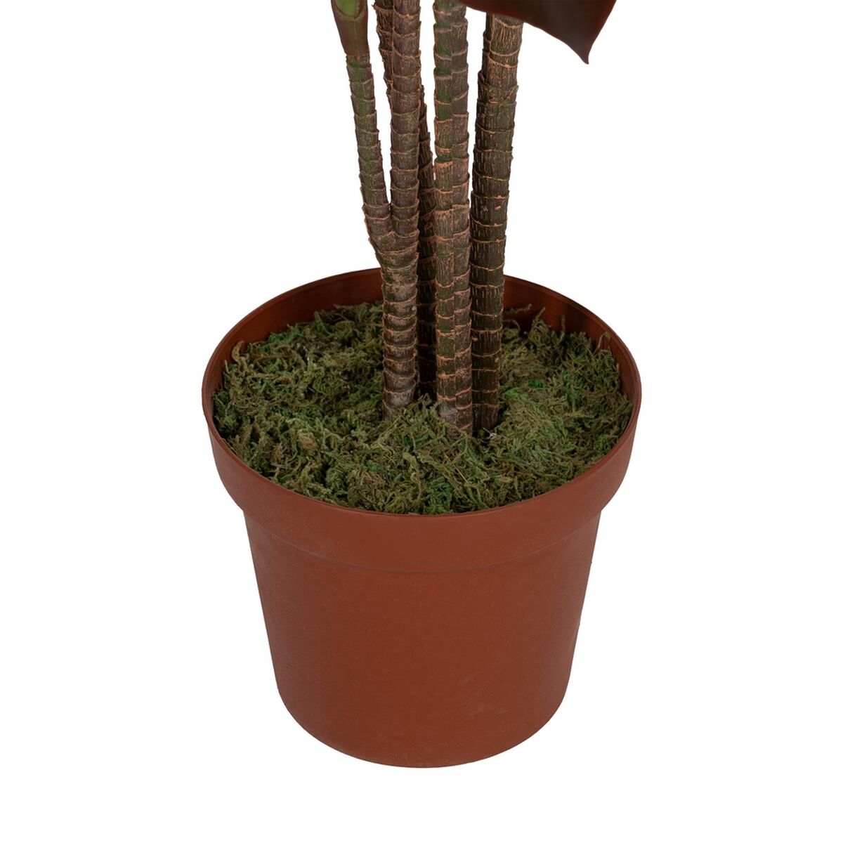 Dekorativ växt Polyetylen Järn Cement 45 x 45 x 170 cm - 4