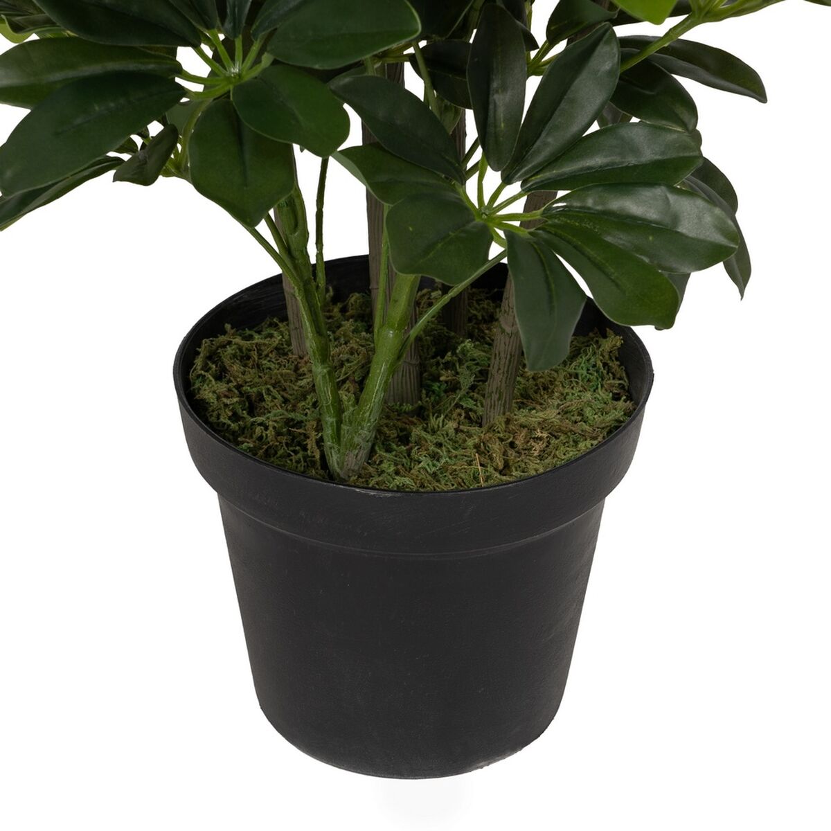 Dekorativ växt Bambu Polyetylen Järn Cement Tyg 45 x 45 x 145 cm - 4