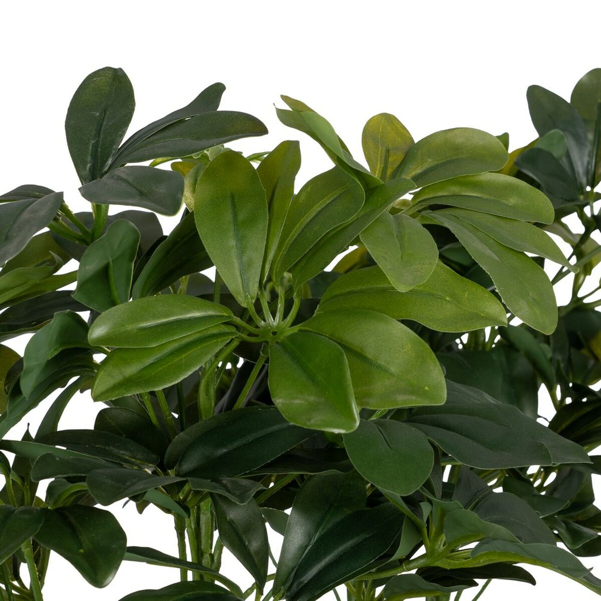 Dekorativ växt Bambu Polyetylen Järn Cement Tyg 45 x 45 x 145 cm - 2