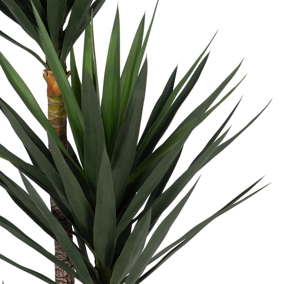 Dekorativ växt Polyetylen Järn Cement Yucca 30 x 30 x 250 cm - 2