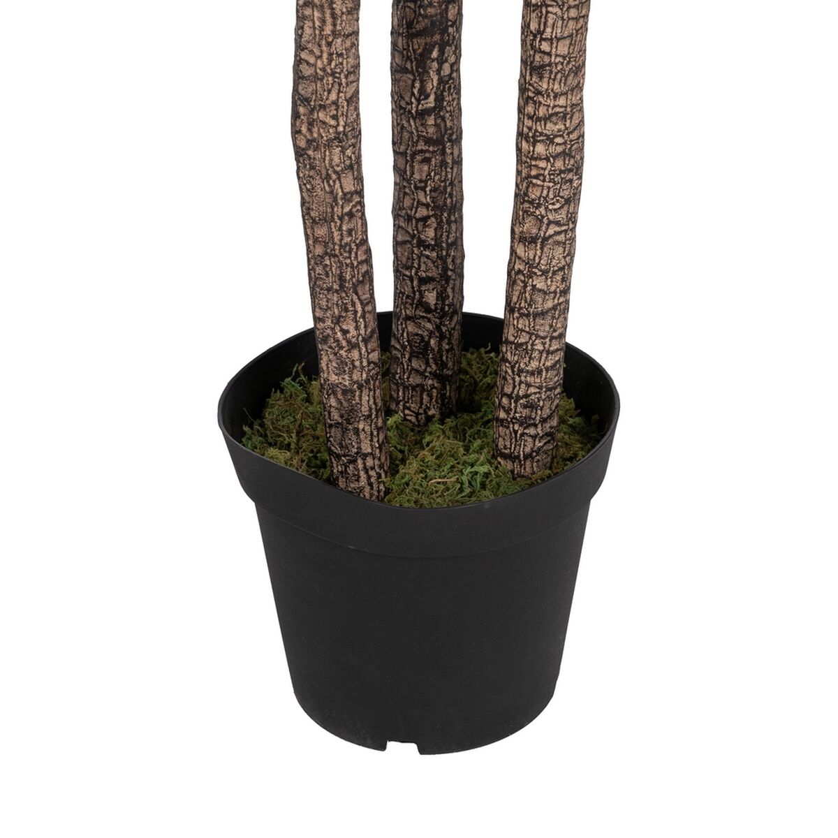 Dekorativ växt Polyetylen Järn Cement Yucca 30 x 30 x 250 cm - 4