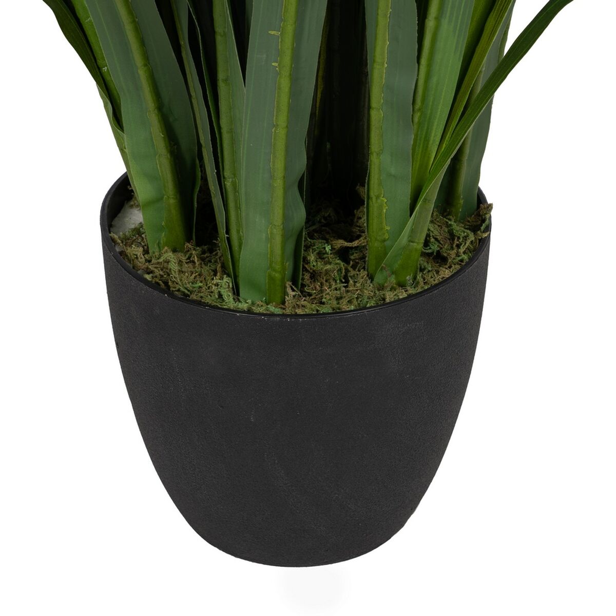 Dekorativ växt Bambu Polyetylen Järn Cement Tyg 45 x 45 x 110 cm - 4