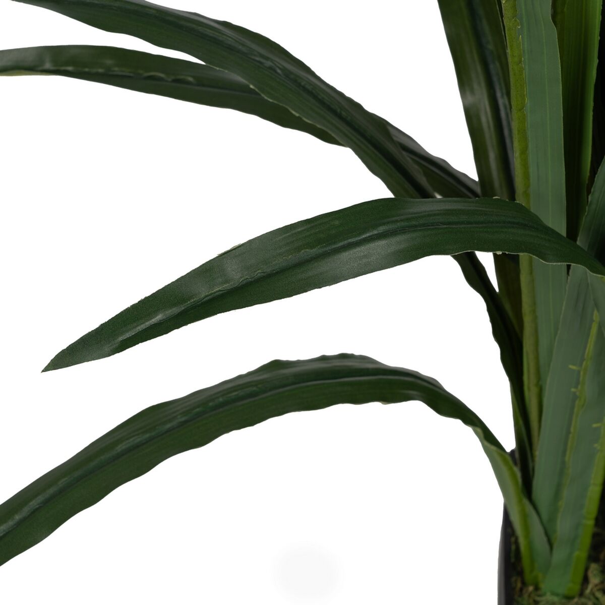 Dekorativ växt Bambu Polyetylen Järn Cement Tyg 45 x 45 x 110 cm - 4