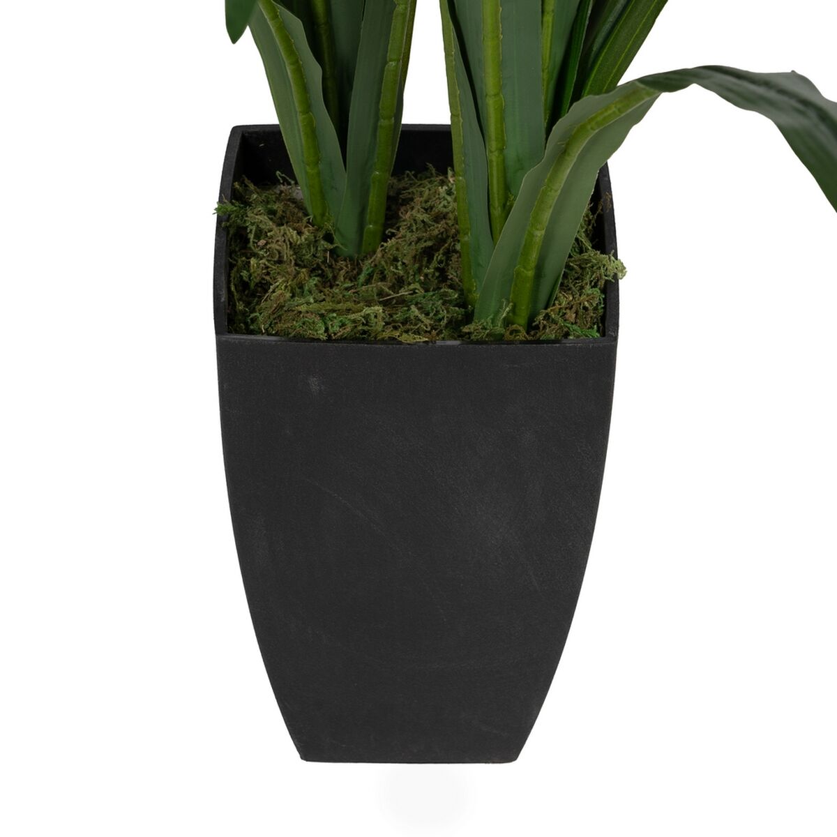Dekorativ växt Bambu Polyetylen Järn Cement Tyg 45 x 45 x 100 cm - 5