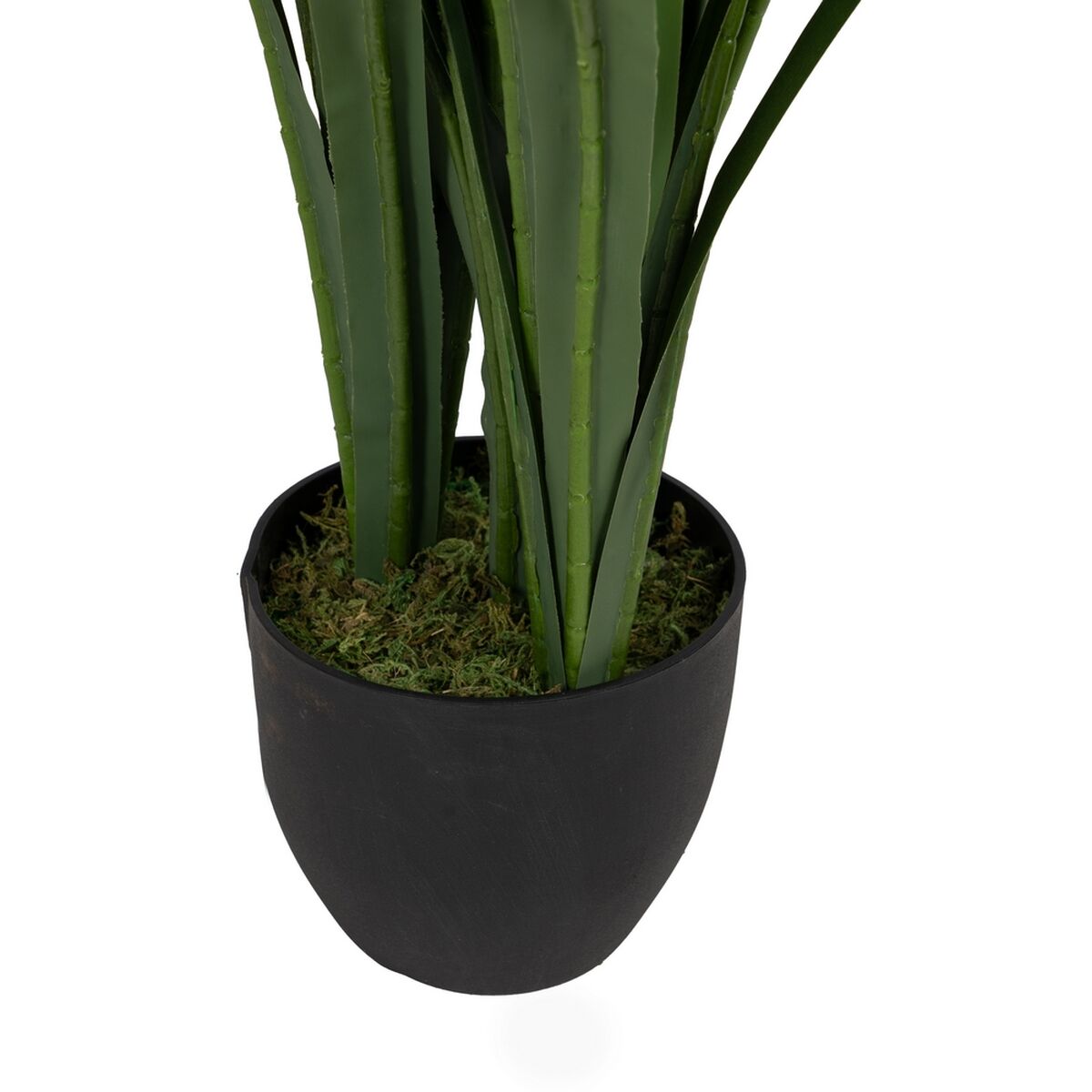 Dekorativ växt Bambu Polyetylen Järn Cement Tyg 50 x 50 x 100 cm - 5