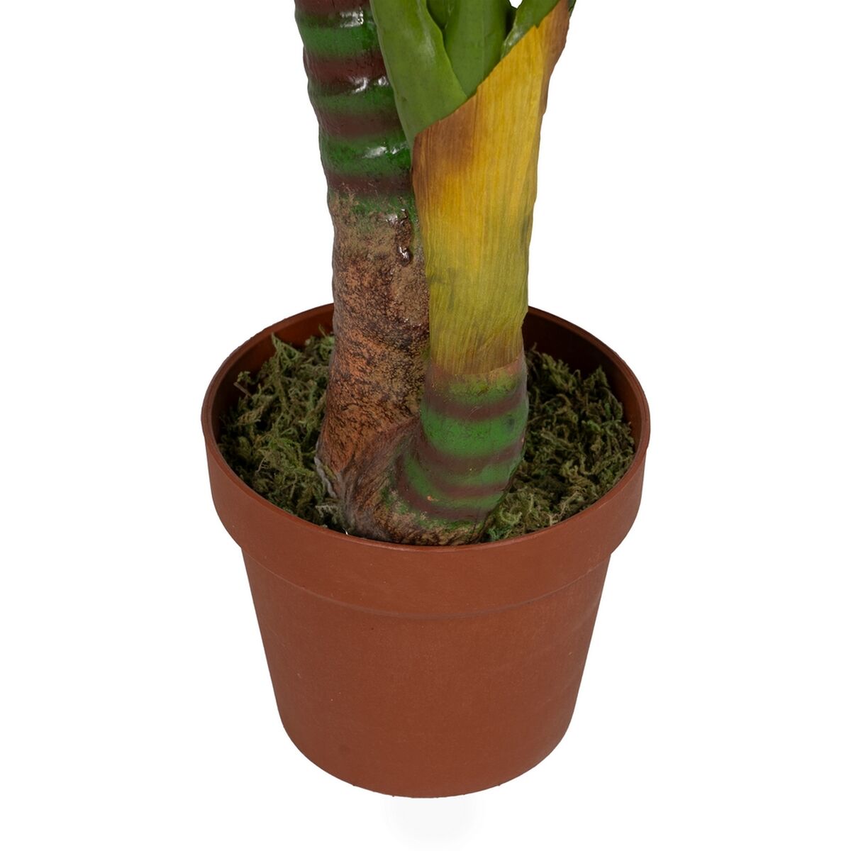 Dekorativ växt Bambu Polyetylen Järn Cement 45 x 45 x 130 cm - 5