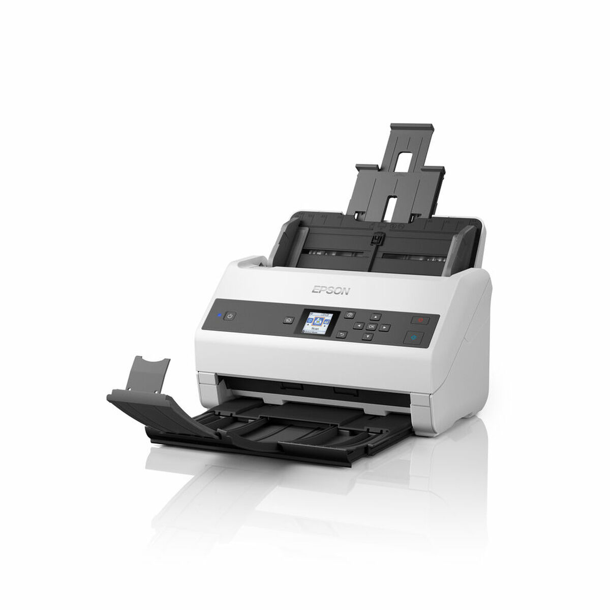 Skanner Epson B11B250401 - 3