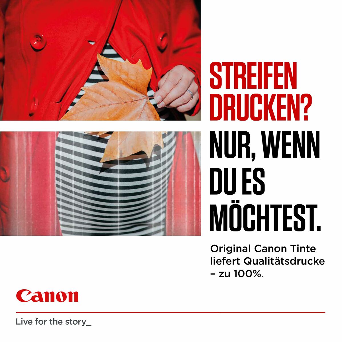 Pack med bläckpatroner och fotopapper Canon 8286B011 (3 antal) (2 antal) - 7