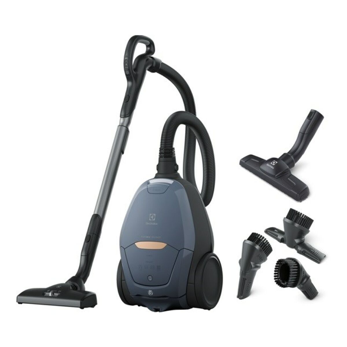 Dammsugare Electrolux PD82-8DB Blå Rödbrun 500 W 600 W - 2