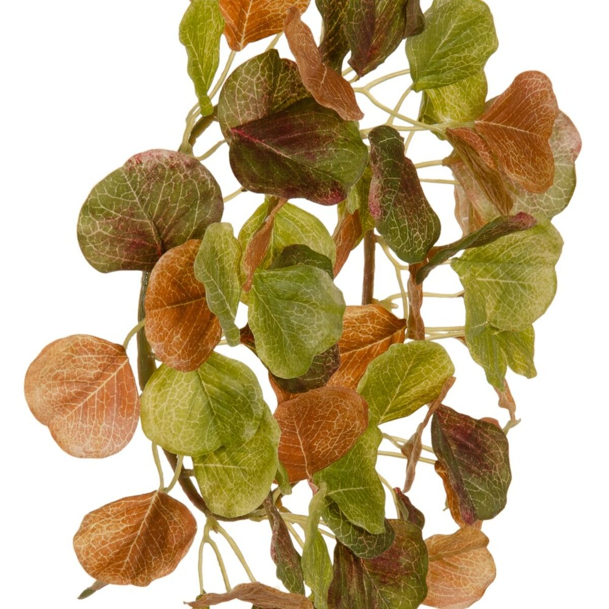 Krona - 3