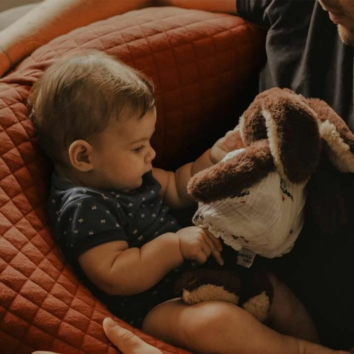 Breastfeeding Cushion Béaba Terrakota n - 4