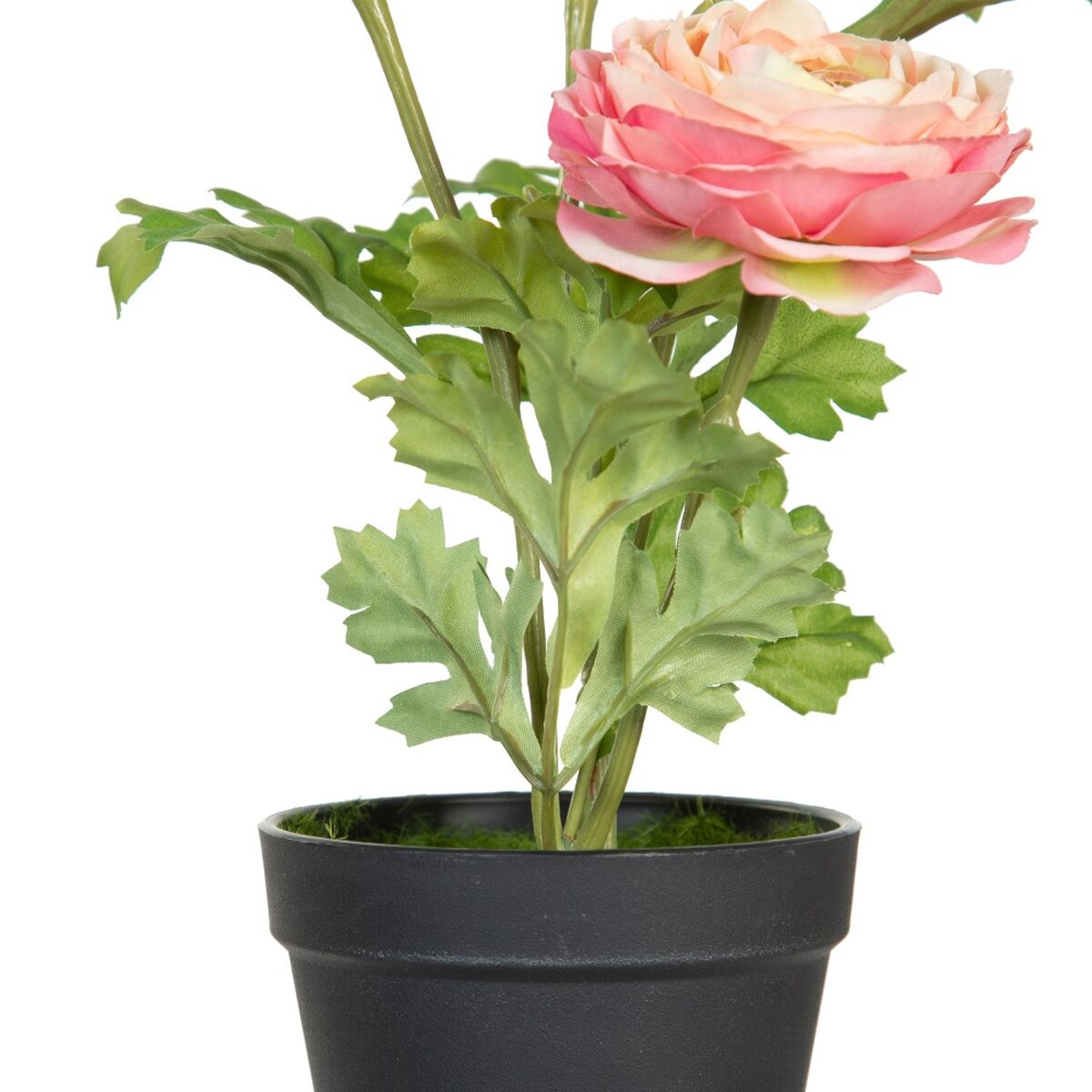 Dekorativ växt Polyester Polyetylen Järn Blomster 11 x 11 x 36 cm - 5