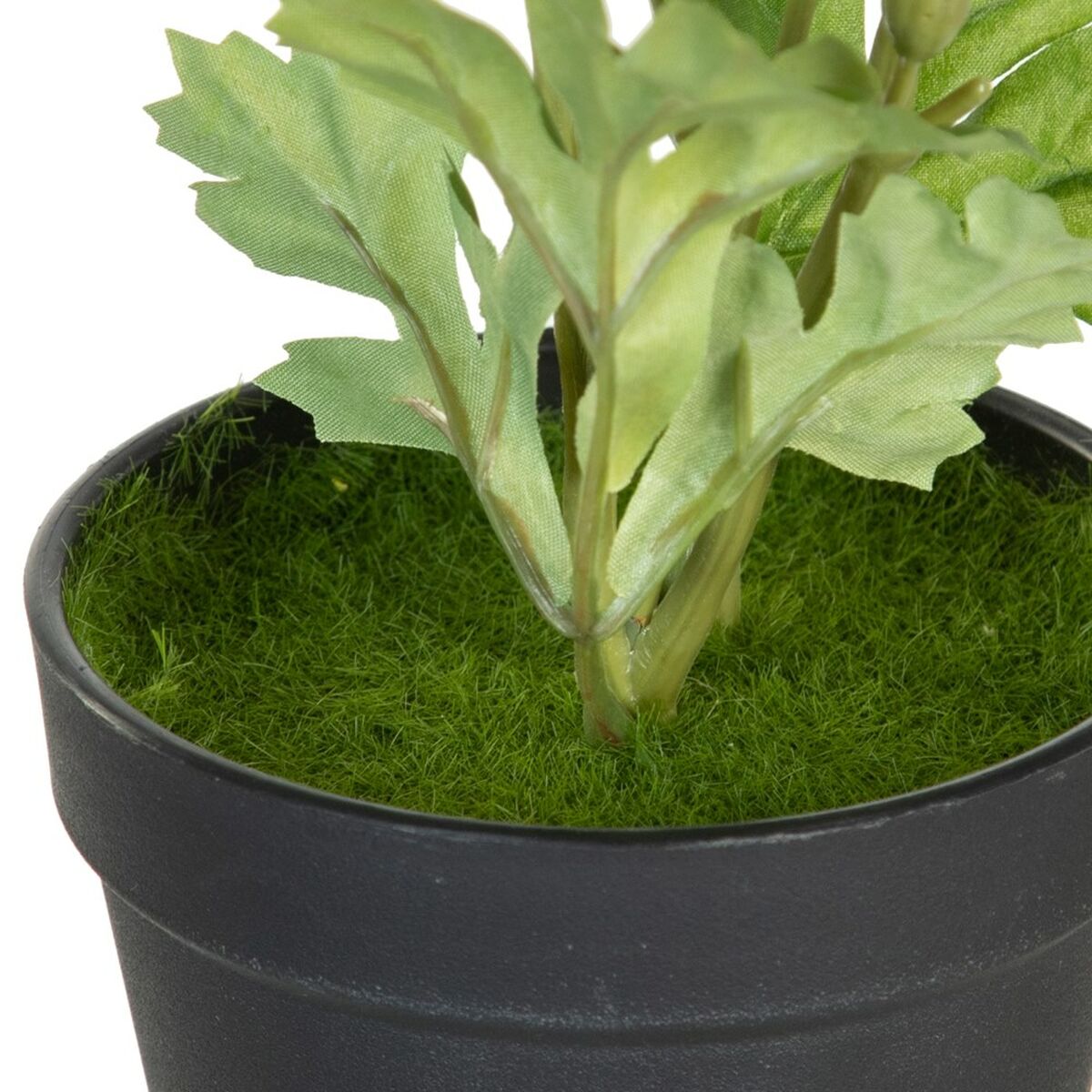 Dekorativ växt Polyester Polyetylen Järn Blomster 11 x 11 x 36 cm - 4
