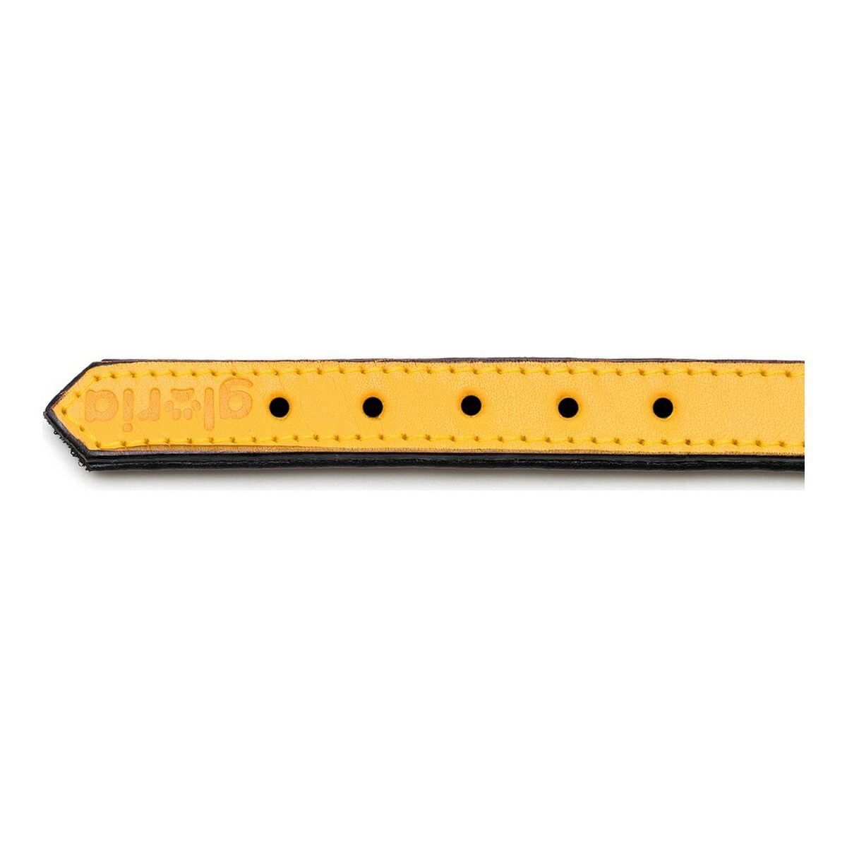 Hundhalsband Gloria Vadderad Gul (55 x 2,5 cm) - 3