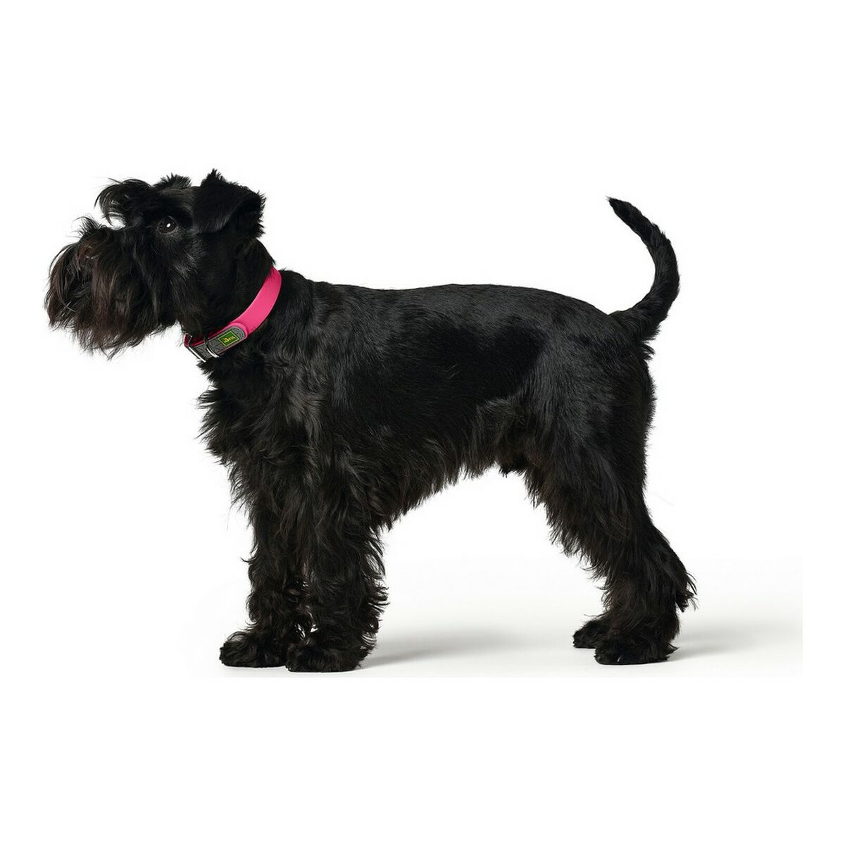 Hundhalsband Hunter Convenience Rosa Storlek M/L (42-50 cm) - 2