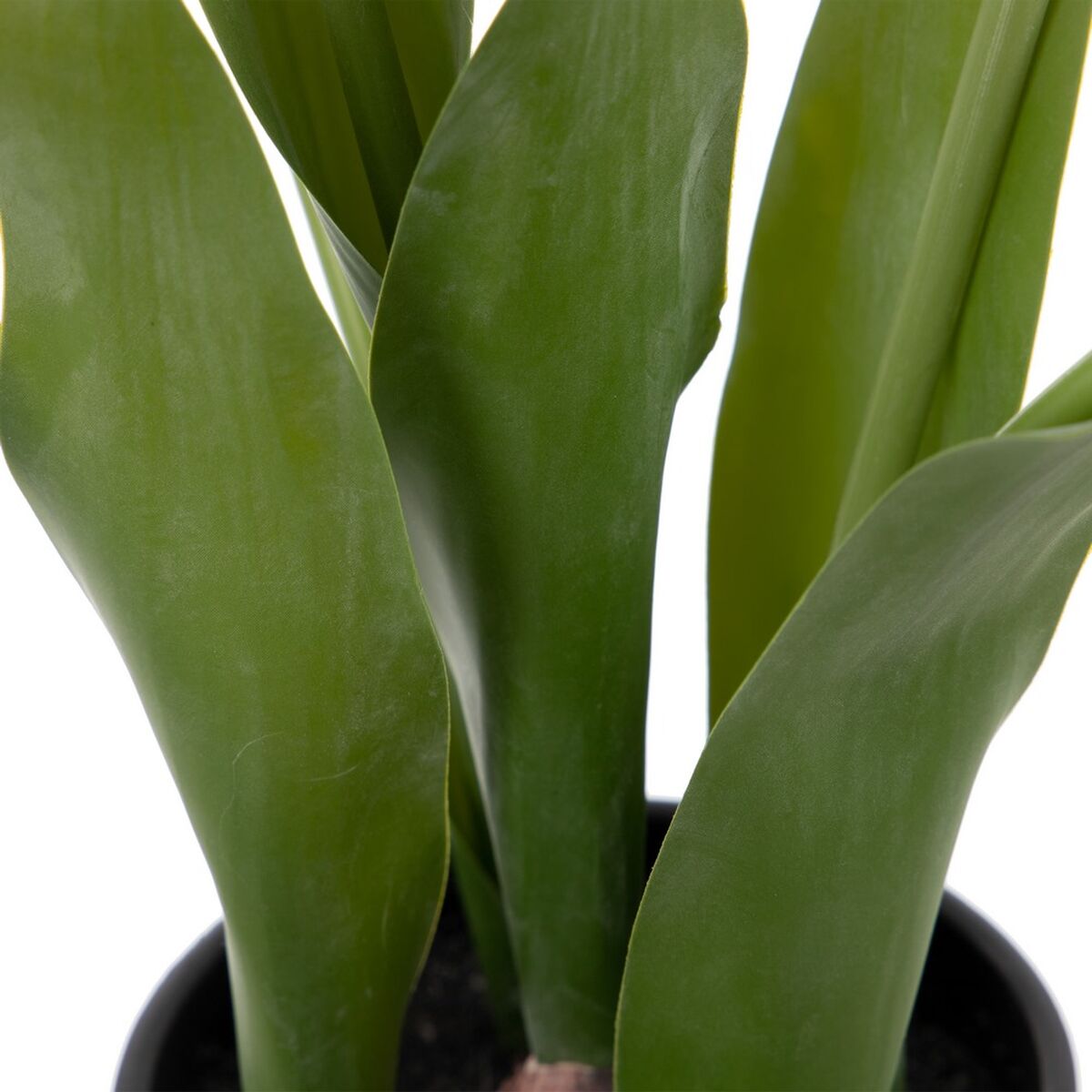 Dekorativ växt Polyester Polyetylen Järn 11 x 11 x 31 cm - 5
