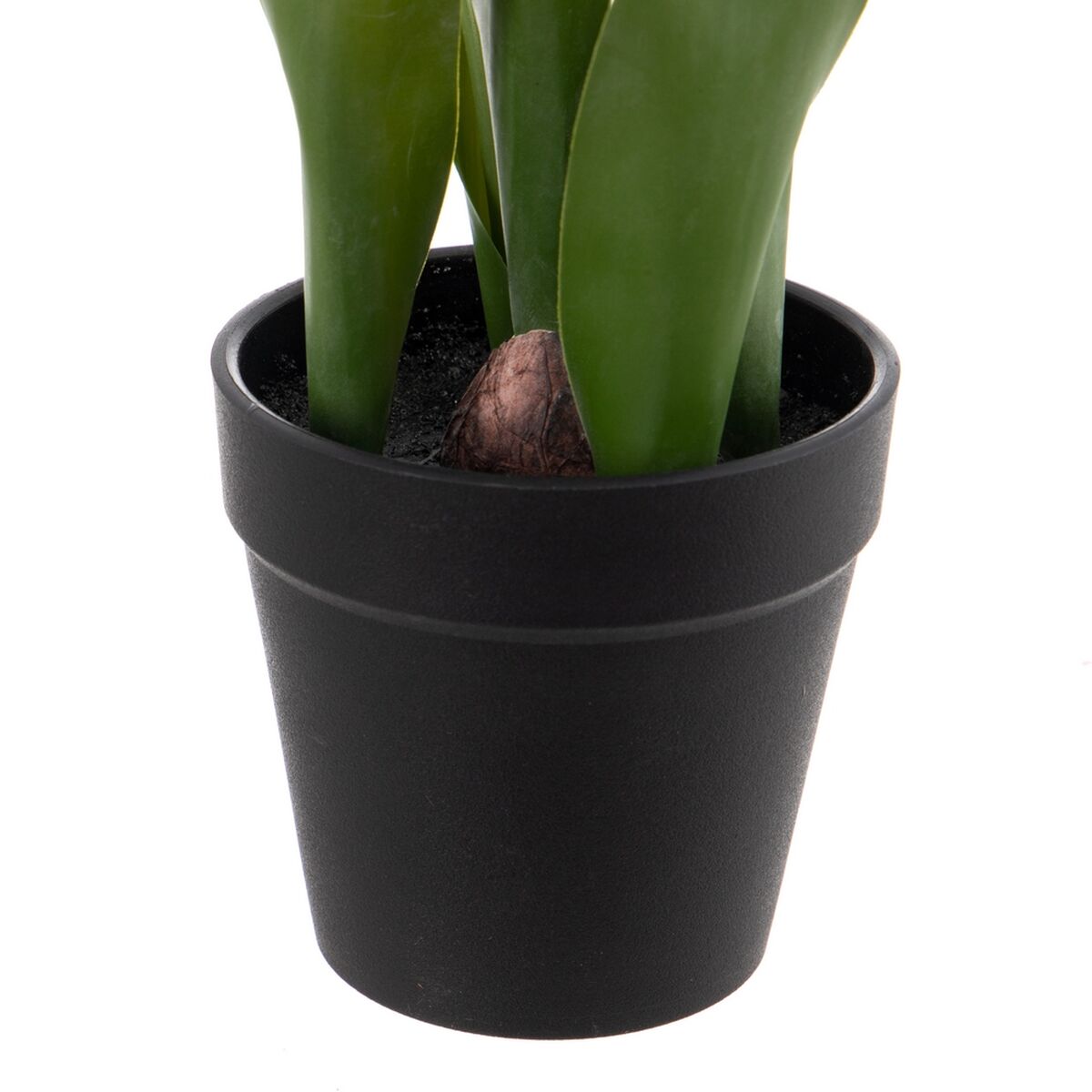 Dekorativ växt Polyester Polyetylen Järn 11 x 11 x 31 cm - 6