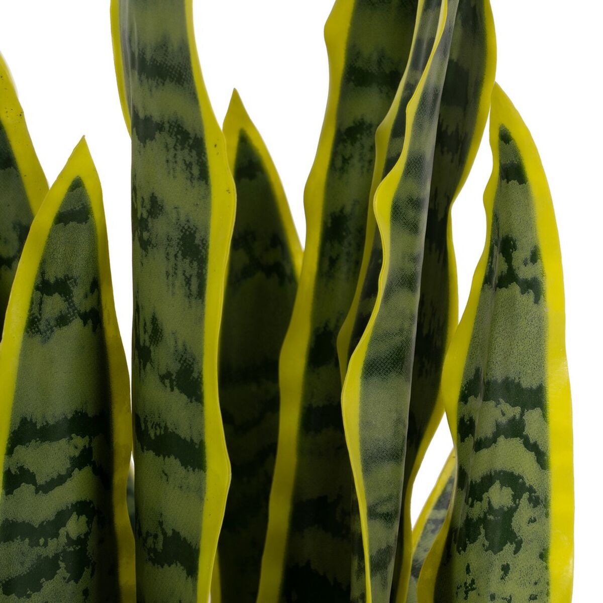 Dekorativ växt Gummi polypropen 20 x 20 x 80 cm - 3