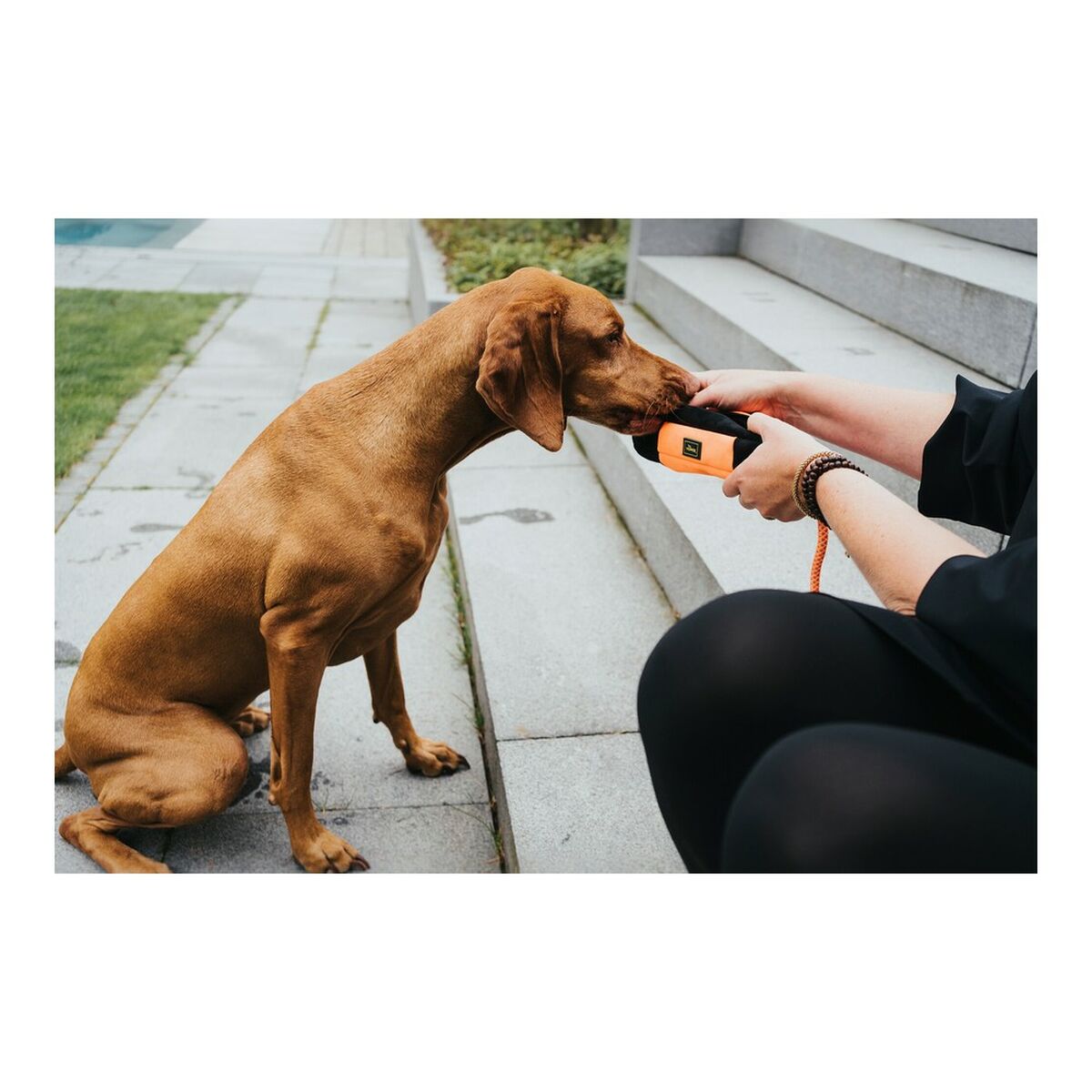Förpackning Hunter Dummy Snacks Svart Orange - 9