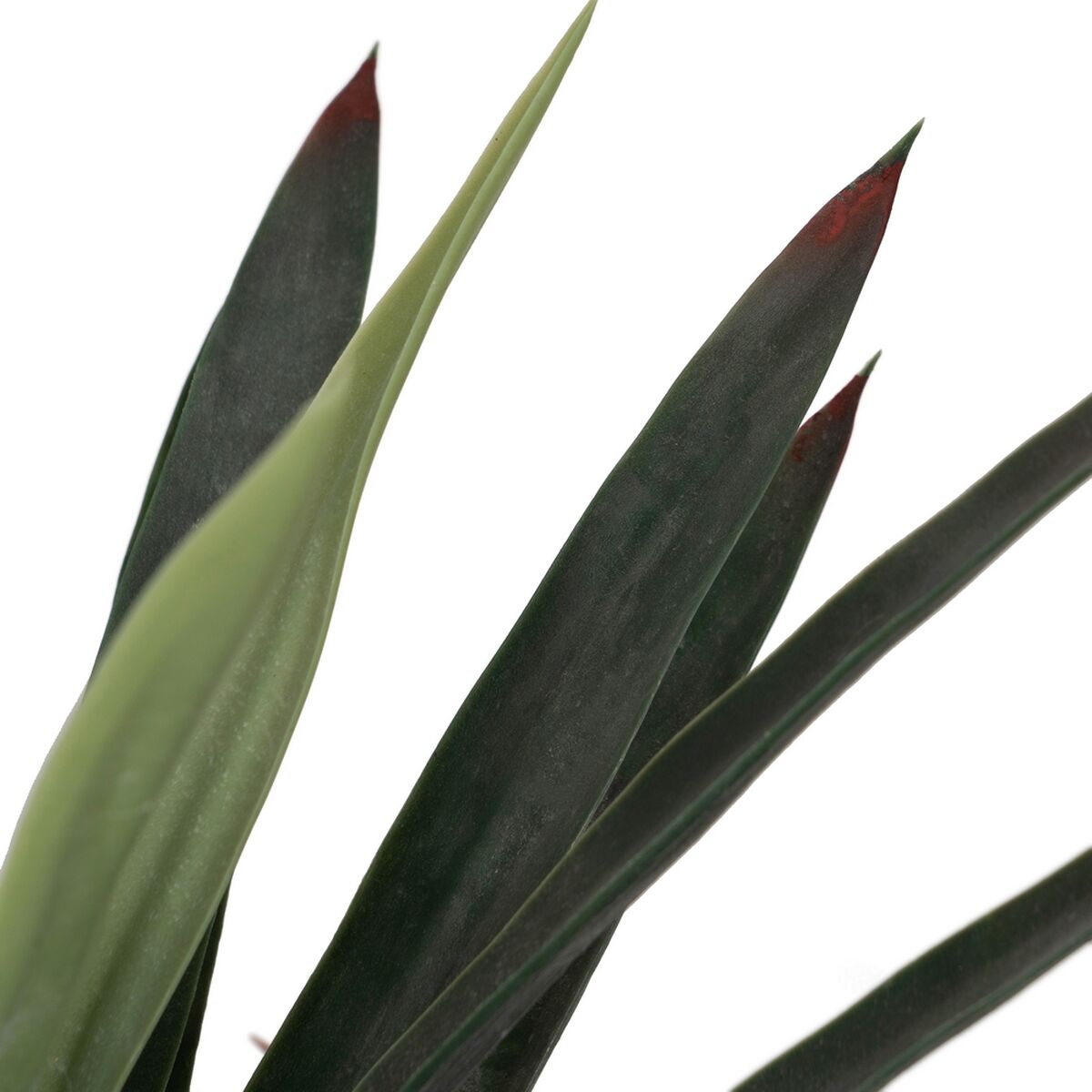 Dekorativ växt Gummi polypropen Yucca 40 x 40 x 125 cm - 3