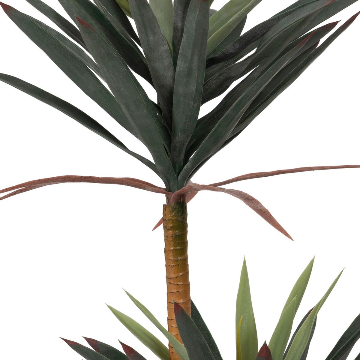 Dekorativ växt Gummi polypropen Yucca 40 x 40 x 125 cm - 4
