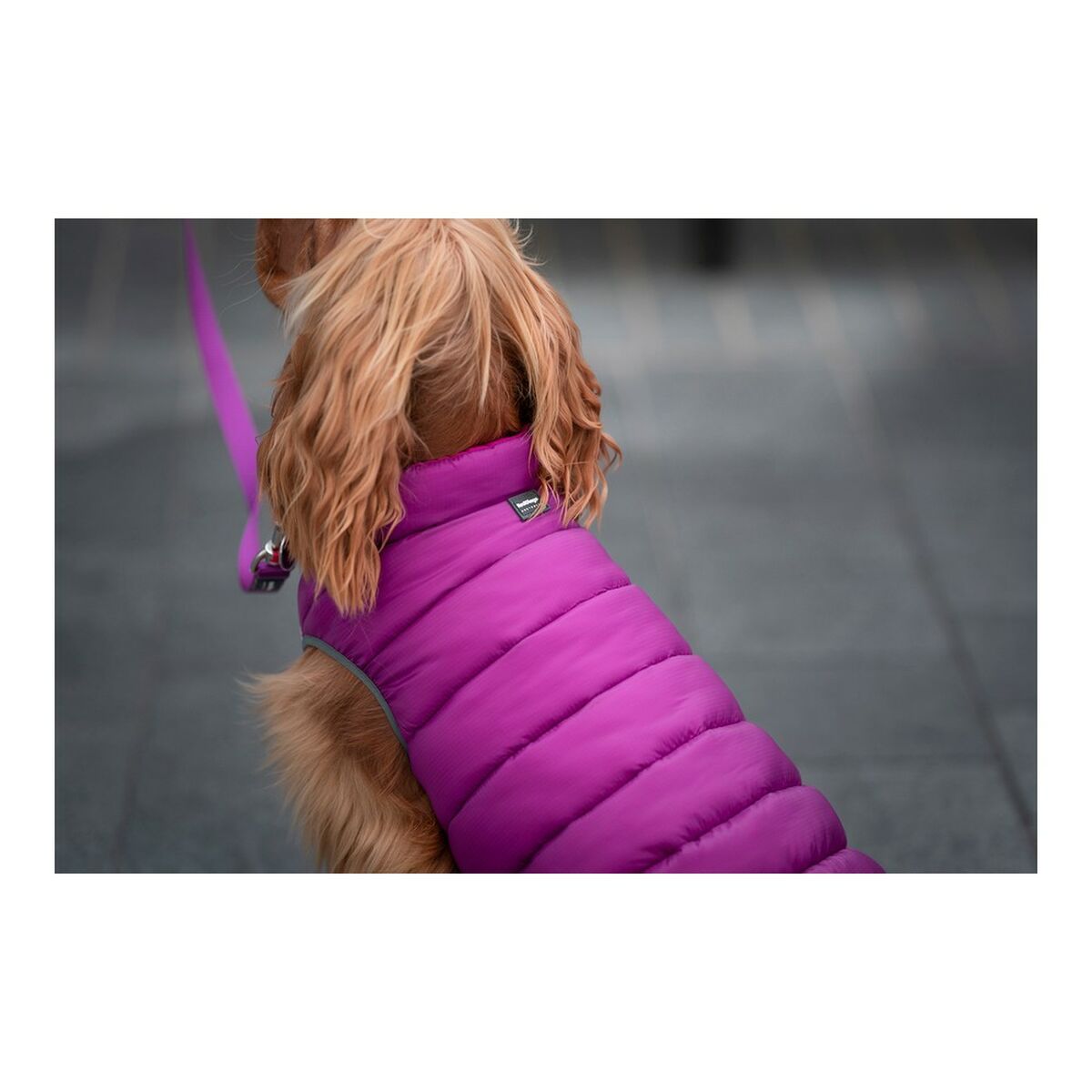 Hundrock Red Dingo Puffer 45 cm Rosa/Lila - 6