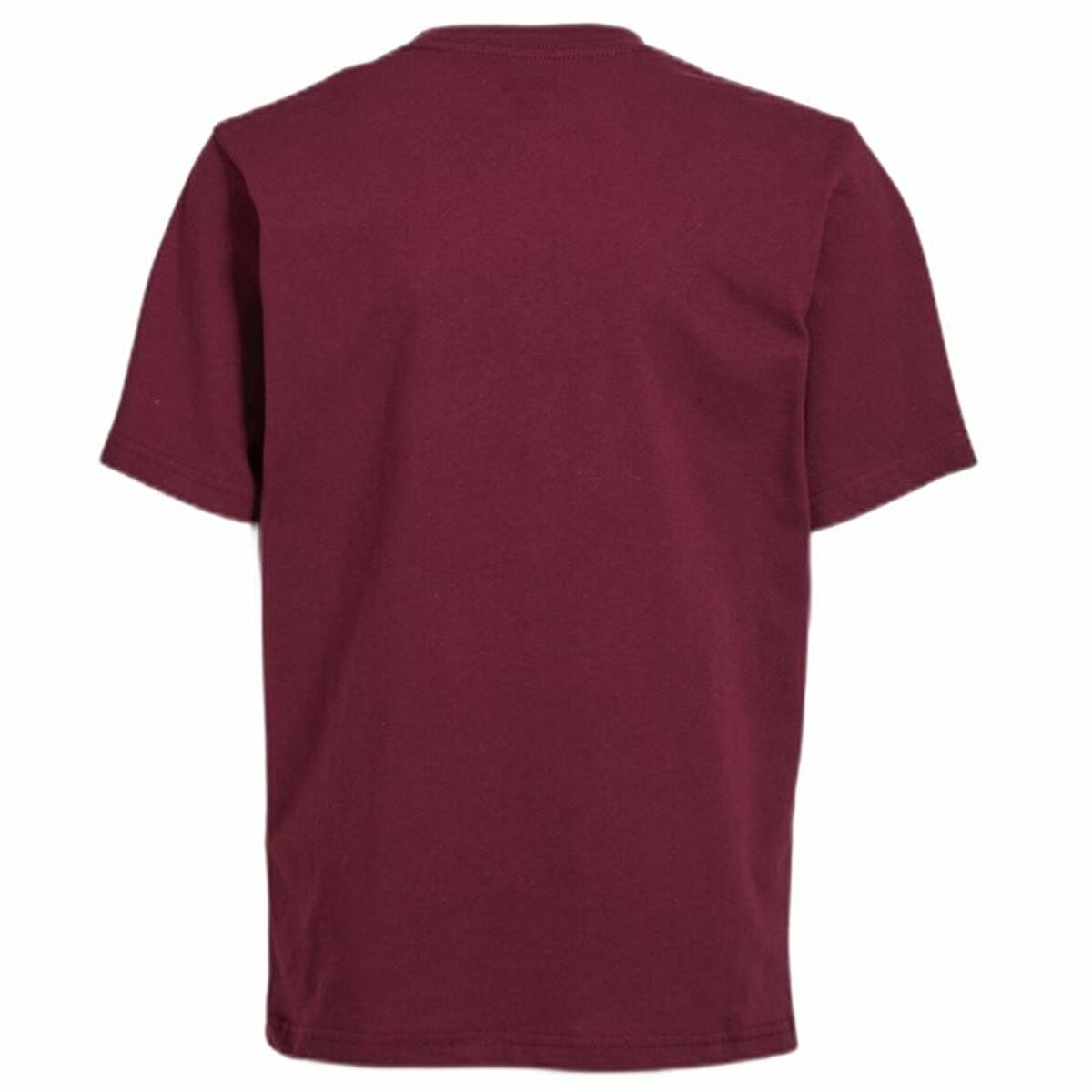 Barn T-shirt med kortärm Vans Drop V Boy-B Brun - 2