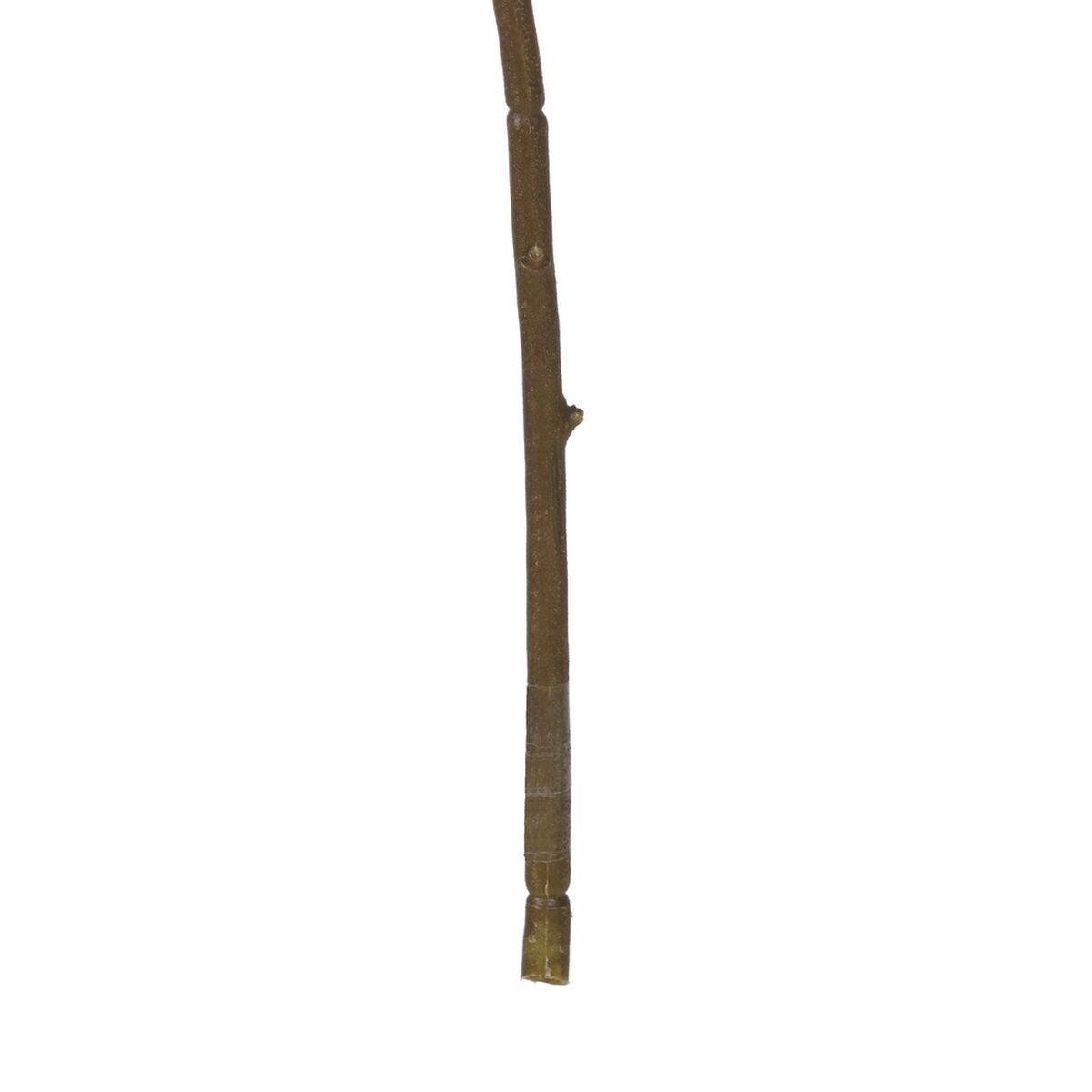 Dekorativ växt Polyester 3 X 15 X 95 CM - 4