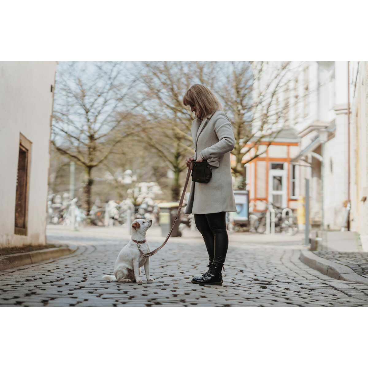 Hundhalsband Hunter Inari Beige 40-55 cm L - 5