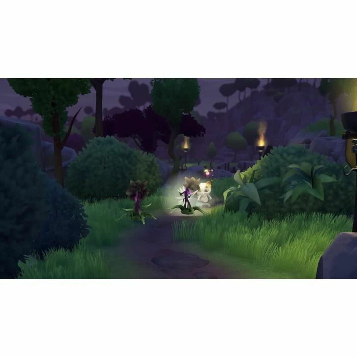 TV-spel för Switch Nintendo Whisker Waters (FR) - 4