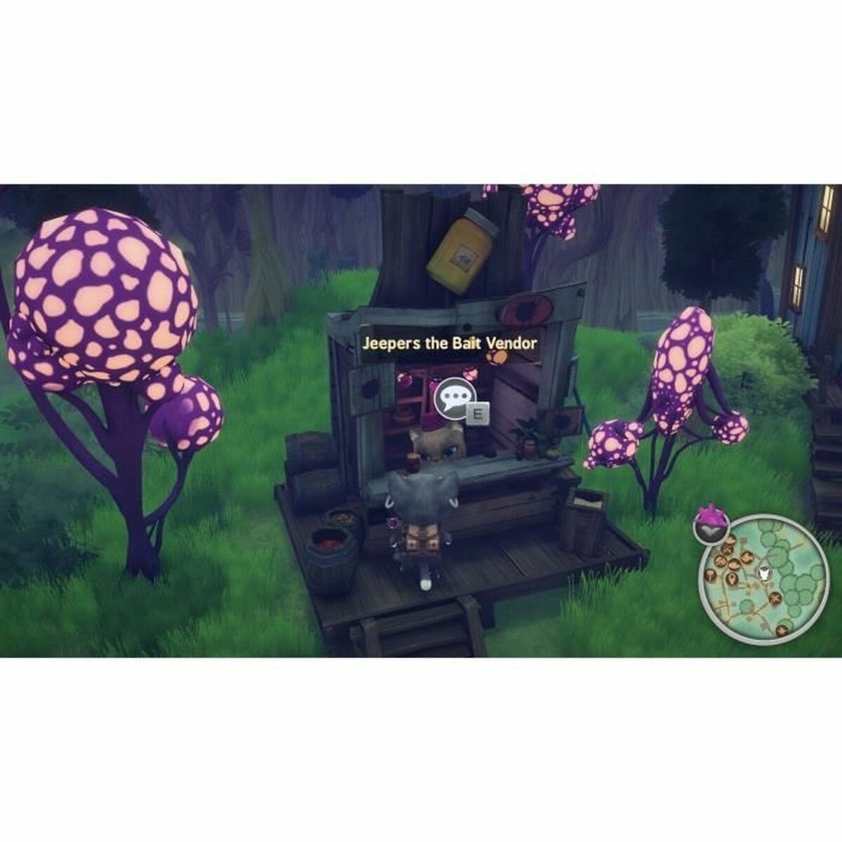 TV-spel för Switch Nintendo Whisker Waters (FR) - 2