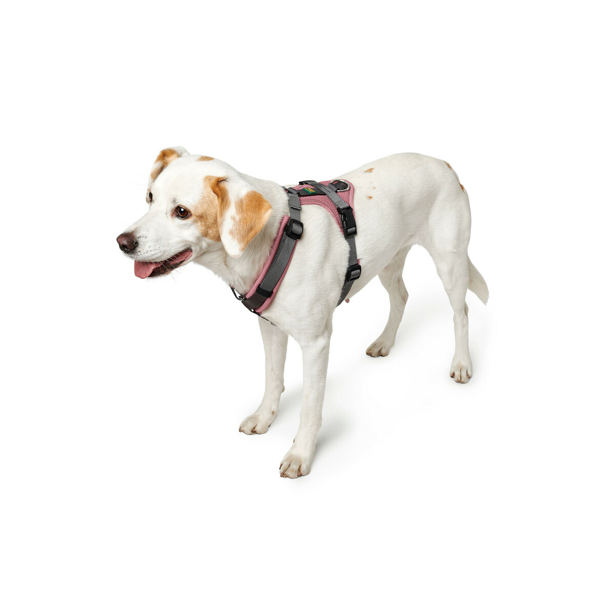 Hundsele Hunter Maldon Up Rosa 38-62 cm - 3